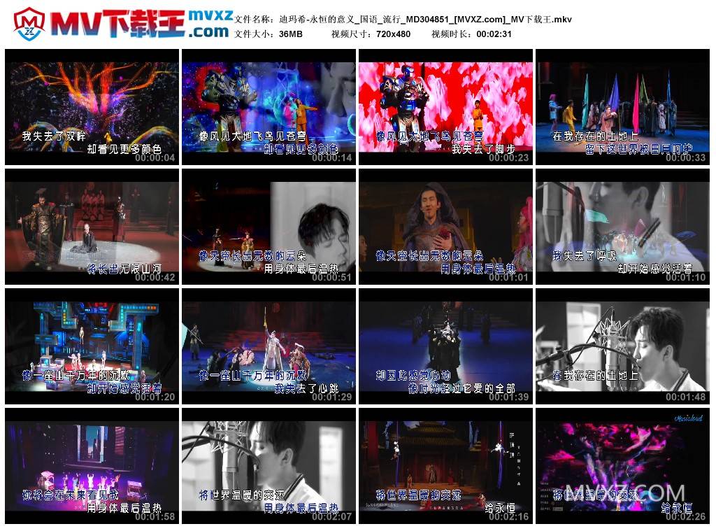 迪玛希-永恒的意义_国语_流行_MD304851